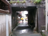 100_2035 (2)