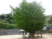 P1160336